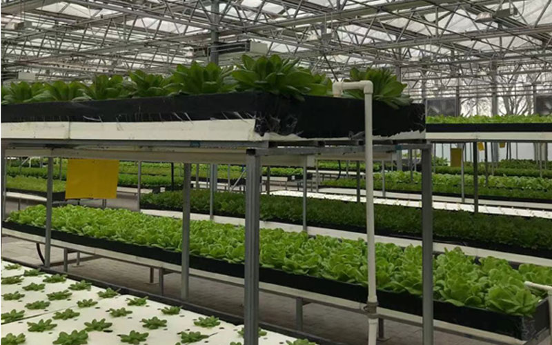 金沙js800000(集团)有限公司官网